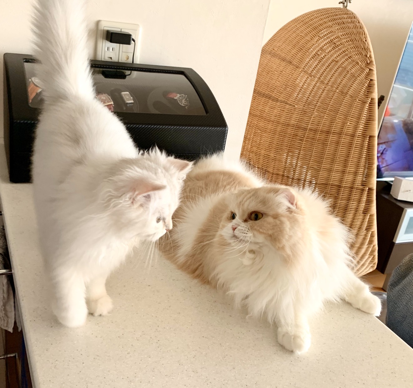 ネイルサロンきなこゆきからお客様へのメッセージ写真